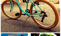 bikes collage
